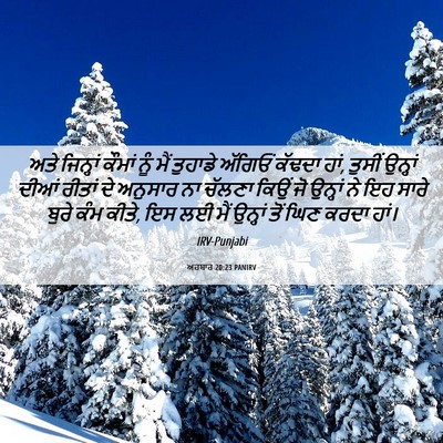 Picture 06 - ਅਹਬਾਰ 20:23 PANIRV - ਅਤੇ ਜਿਨ੍ਹਾਂ ਕੌਮਾਂ - Bible Verse Picture