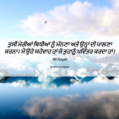 Picture 06 - ਅਹਬਾਰ 20:8 PANIRV - ਤੁਸੀਂ ਮੇਰੀਆਂ - Bible Verse Picture