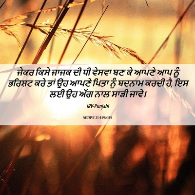 Picture 06 - ਅਹਬਾਰ 21:9 PANIRV - ਜੇਕਰ ਕਿਸੇ ਜਾਜਕ ਦੀ - Bible Verse Picture