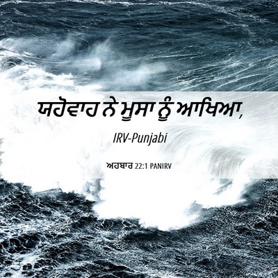 Picture 06 - ਅਹਬਾਰ 22:1 PANIRV - ਯਹੋਵਾਹ ਨੇ ਮੂਸਾ ਨੂੰ - Bible Verse Picture