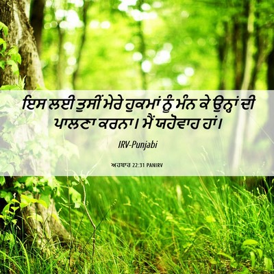 Picture 06 - ਅਹਬਾਰ 22:31 PANIRV - ਇਸ ਲਈ ਤੁਸੀਂ ਮੇਰੇ - Bible Verse Picture