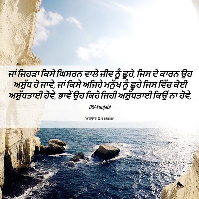 Picture 06 - ਅਹਬਾਰ 22:5 PANIRV - ਜਾਂ ਜਿਹੜਾ ਕਿਸੇ - Bible Verse Picture