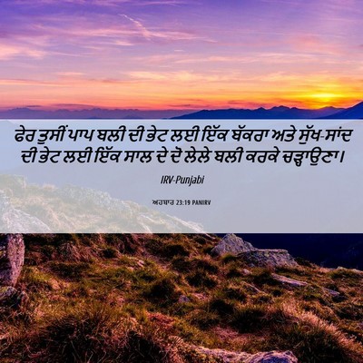 Picture 06 - ਅਹਬਾਰ 23:19 PANIRV - ਫੇਰ ਤੁਸੀਂ ਪਾਪ ਬਲੀ - Bible Verse Picture