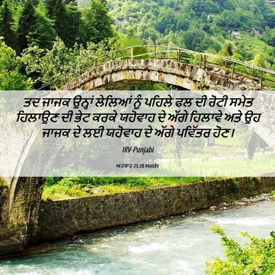 Picture 06 - ਅਹਬਾਰ 23:20 PANIRV - ਤਦ ਜਾਜਕ ਉਨ੍ਹਾਂ - Bible Verse Picture