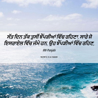 Picture 06 - ਅਹਬਾਰ 23:42 PANIRV - ਸੱਤ ਦਿਨ ਤੱਕ ਤੁਸੀਂ - Bible Verse Picture