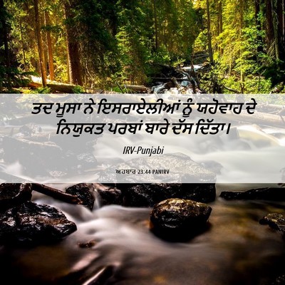 Picture 06 - ਅਹਬਾਰ 23:44 PANIRV - ਤਦ ਮੂਸਾ ਨੇ - Bible Verse Picture