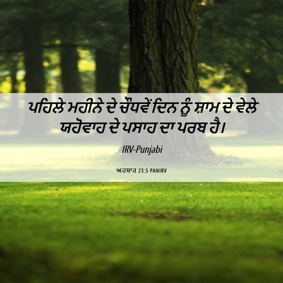 Picture 06 - ਅਹਬਾਰ 23:5 PANIRV - ਪਹਿਲੇ ਮਹੀਨੇ ਦੇ - Bible Verse Picture