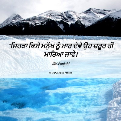 Picture 06 - ਅਹਬਾਰ 24:17 PANIRV - “ਜਿਹੜਾ ਕਿਸੇ ਮਨੁੱਖ - Bible Verse Picture