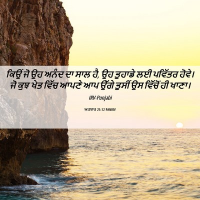 Picture 06 - ਅਹਬਾਰ 25:12 PANIRV - ਕਿਉਂ ਜੋ ਉਹ ਅਨੰਦ ਦਾ - Bible Verse Picture