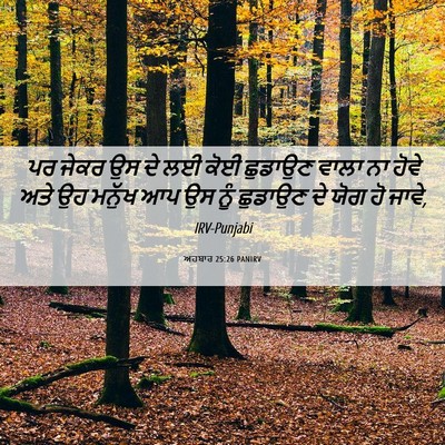 Picture 06 - ਅਹਬਾਰ 25:26 PANIRV - ਪਰ ਜੇਕਰ ਉਸ ਦੇ ਲਈ - Bible Verse Picture