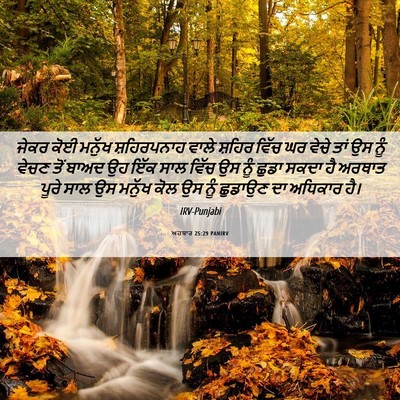 Picture 06 - ਅਹਬਾਰ 25:29 PANIRV - ਜੇਕਰ ਕੋਈ ਮਨੁੱਖ - Bible Verse Picture