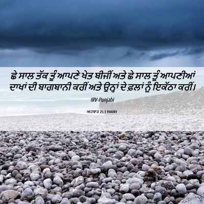 Picture 06 - ਅਹਬਾਰ 25:3 PANIRV - ਛੇ ਸਾਲ ਤੱਕ ਤੂੰ ਆਪਣੇ - Bible Verse Picture