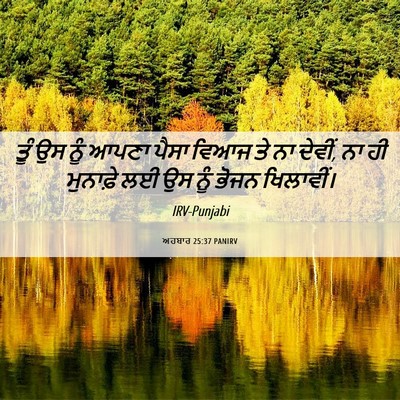 Picture 06 - ਅਹਬਾਰ 25:37 PANIRV - ਤੂੰ ਉਸ ਨੂੰ ਆਪਣਾ - Bible Verse Picture