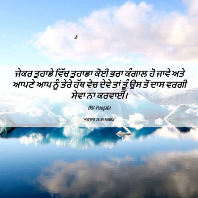 Picture 06 - ਅਹਬਾਰ 25:39 PANIRV - ਜੇਕਰ ਤੁਹਾਡੇ ਵਿੱਚ - Bible Verse Picture