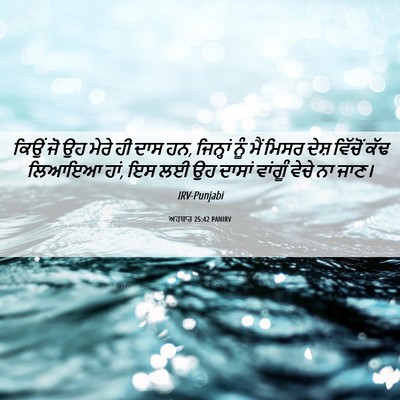 Picture 06 - ਅਹਬਾਰ 25:42 PANIRV - ਕਿਉਂ ਜੋ ਉਹ ਮੇਰੇ ਹੀ - Bible Verse Picture