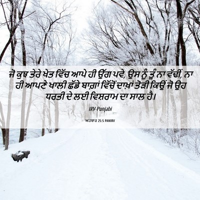 Picture 06 - ਅਹਬਾਰ 25:5 PANIRV - ਜੋ ਕੁਝ ਤੇਰੇ ਖੇਤ - Bible Verse Picture