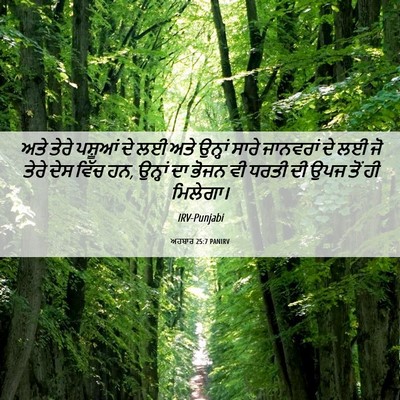 Picture 06 - ਅਹਬਾਰ 25:7 PANIRV - ਅਤੇ ਤੇਰੇ ਪਸ਼ੂਆਂ ਦੇ - Bible Verse Picture