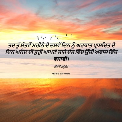 Picture 06 - ਅਹਬਾਰ 25:9 PANIRV - ਤਦ ਤੂੰ ਸੱਤਵੇਂ - Bible Verse Picture