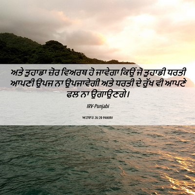 Picture 06 - ਅਹਬਾਰ 26:20 PANIRV - ਅਤੇ ਤੁਹਾਡਾ ਜ਼ੋਰ - Bible Verse Picture