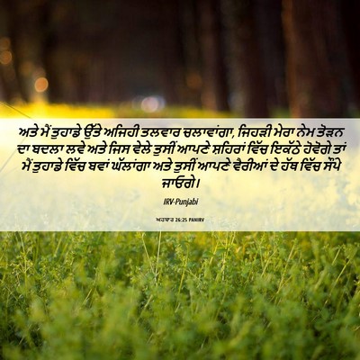 Picture 06 - ਅਹਬਾਰ 26:25 PANIRV - ਅਤੇ ਮੈਂ ਤੁਹਾਡੇ - Bible Verse Picture