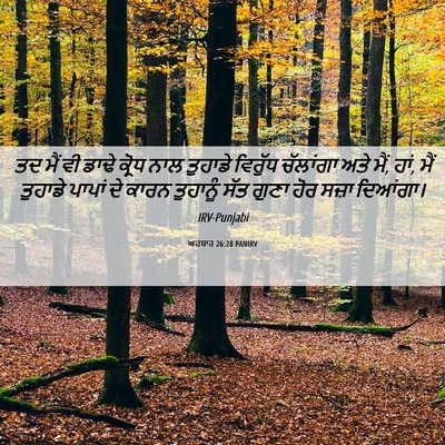 Picture 06 - ਅਹਬਾਰ 26:28 PANIRV - ਤਦ ਮੈਂ ਵੀ ਡਾਢੇ - Bible Verse Picture