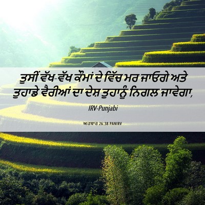 Picture 06 - ਅਹਬਾਰ 26:38 PANIRV - ਤੁਸੀਂ ਵੱਖ-ਵੱਖ - Bible Verse Picture