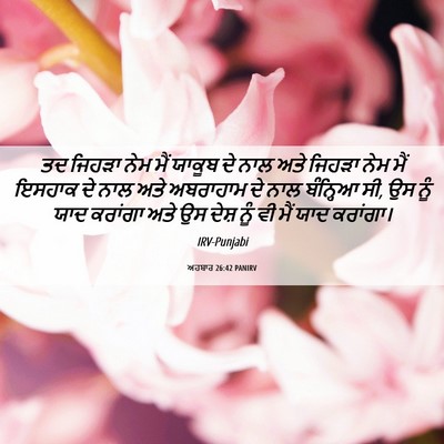 Picture 06 - ਅਹਬਾਰ 26:42 PANIRV - ਤਦ ਜਿਹੜਾ ਨੇਮ ਮੈਂ - Bible Verse Picture