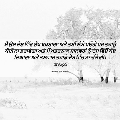 Picture 06 - ਅਹਬਾਰ 26:6 PANIRV - ਮੈਂ ਉਸ ਦੇਸ਼ ਵਿੱਚ - Bible Verse Picture