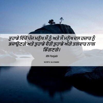 Picture 06 - ਅਹਬਾਰ 26:8 PANIRV - ਤੁਹਾਡੇ ਵਿੱਚੋਂ ਪੰਜ - Bible Verse Picture