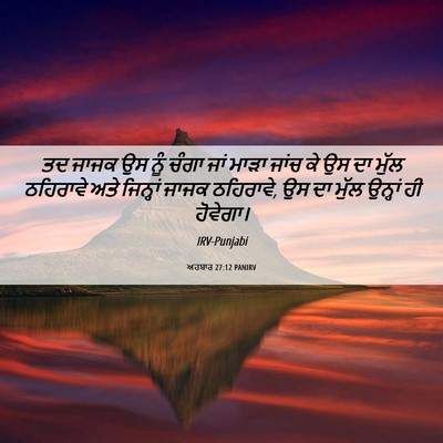 Picture 06 - ਅਹਬਾਰ 27:12 PANIRV - ਤਦ ਜਾਜਕ ਉਸ ਨੂੰ ਚੰਗਾ - Bible Verse Picture