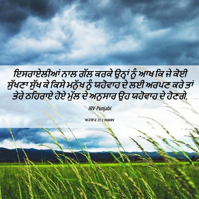 Picture 06 - ਅਹਬਾਰ 27:2 PANIRV - ਇਸਰਾਏਲੀਆਂ ਨਾਲ ਗੱਲ - Bible Verse Picture