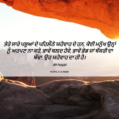Picture 06 - ਅਹਬਾਰ 27:26 PANIRV - ਤੇਰੇ ਸਾਰੇ ਪਸ਼ੂਆਂ - Bible Verse Picture