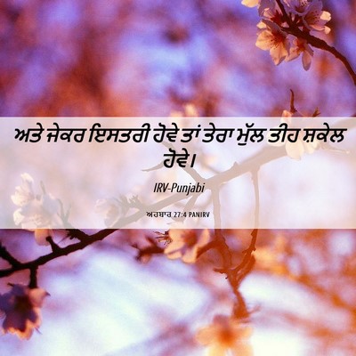 Picture 06 - ਅਹਬਾਰ 27:4 PANIRV - ਅਤੇ ਜੇਕਰ ਇਸਤਰੀ - Bible Verse Picture