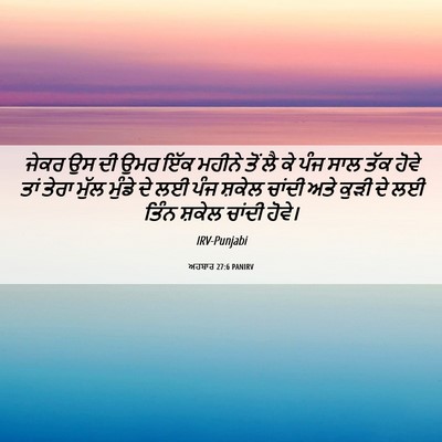 Picture 06 - ਅਹਬਾਰ 27:6 PANIRV - ਜੇਕਰ ਉਸ ਦੀ ਉਮਰ ਇੱਕ - Bible Verse Picture