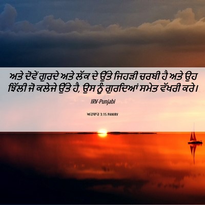 Picture 06 - ਅਹਬਾਰ 3:15 PANIRV - ਅਤੇ ਦੋਵੇਂ ਗੁਰਦੇ - Bible Verse Picture