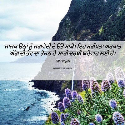 Picture 06 - ਅਹਬਾਰ 3:16 PANIRV - ਜਾਜਕ ਉਨ੍ਹਾਂ ਨੂੰ - Bible Verse Picture