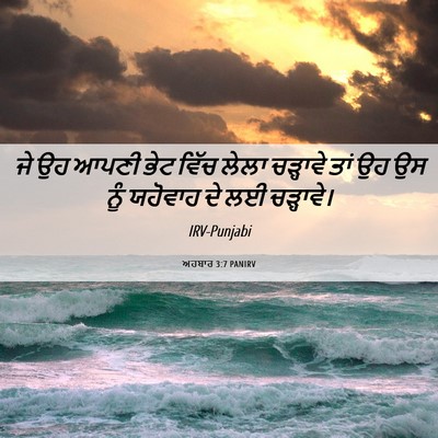 Picture 06 - ਅਹਬਾਰ 3:7 PANIRV - ਜੇ ਉਹ ਆਪਣੀ ਭੇਟ ਵਿੱਚ - Bible Verse Picture