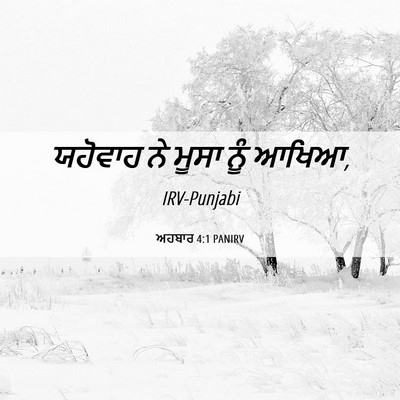 Picture 06 - ਅਹਬਾਰ 4:1 PANIRV - ਯਹੋਵਾਹ ਨੇ ਮੂਸਾ ਨੂੰ - Bible Verse Picture