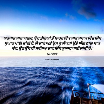 Picture 06 - ਅਹਬਾਰ 4:12 PANIRV - ਅਰਥਾਤ ਸਾਰਾ ਬਲ਼ਦ, ਉਹ - Bible Verse Picture