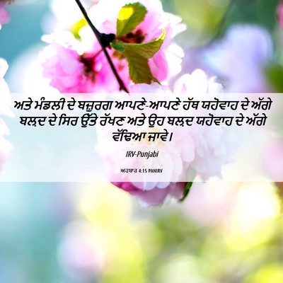 Picture 06 - ਅਹਬਾਰ 4:15 PANIRV - ਅਤੇ ਮੰਡਲੀ ਦੇ - Bible Verse Picture