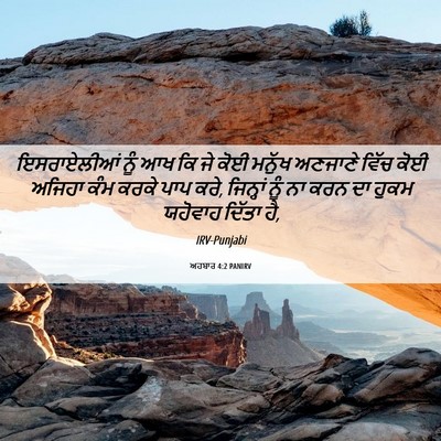 Picture 06 - ਅਹਬਾਰ 4:2 PANIRV - ਇਸਰਾਏਲੀਆਂ ਨੂੰ ਆਖ - Bible Verse Picture