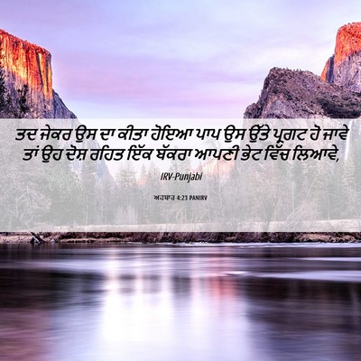 Picture 06 - ਅਹਬਾਰ 4:23 PANIRV - ਤਦ ਜੇਕਰ ਉਸ ਦਾ ਕੀਤਾ - Bible Verse Picture