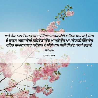 Picture 06 - ਅਹਬਾਰ 4:3 PANIRV - ਅਤੇ ਜੇਕਰ ਕਦੀ ਮਸਹ - Bible Verse Picture