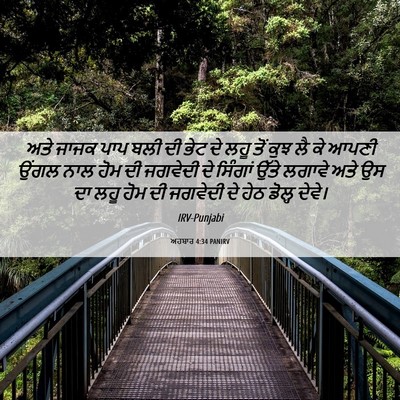 Picture 06 - ਅਹਬਾਰ 4:34 PANIRV - ਅਤੇ ਜਾਜਕ ਪਾਪ ਬਲੀ ਦੀ - Bible Verse Picture