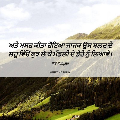 Picture 06 - ਅਹਬਾਰ 4:5 PANIRV - ਅਤੇ ਮਸਹ ਕੀਤਾ ਹੋਇਆ - Bible Verse Picture
