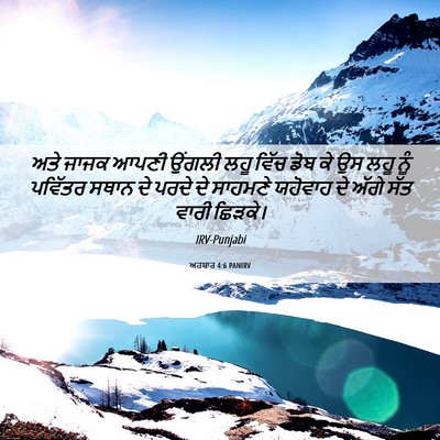Picture 06 - ਅਹਬਾਰ 4:6 PANIRV - ਅਤੇ ਜਾਜਕ ਆਪਣੀ - Bible Verse Picture
