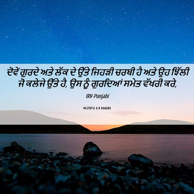 Picture 06 - ਅਹਬਾਰ 4:9 PANIRV - ਦੋਵੇਂ ਗੁਰਦੇ ਅਤੇ - Bible Verse Picture