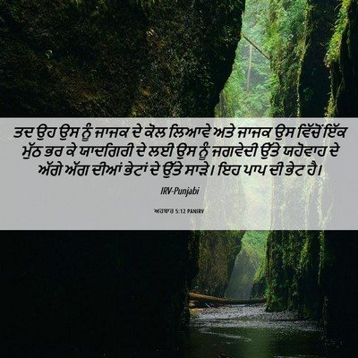 Picture 06 - ਅਹਬਾਰ 5:12 PANIRV - ਤਦ ਉਹ ਉਸ ਨੂੰ ਜਾਜਕ - Bible Verse Picture