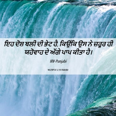 Picture 06 - ਅਹਬਾਰ 5:19 PANIRV - ਇਹ ਦੋਸ਼ ਬਲੀ ਦੀ ਭੇਟ - Bible Verse Picture