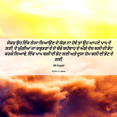 Picture 06 - ਅਹਬਾਰ 5:7 PANIRV - ਜੇਕਰ ਉਹ ਇੱਕ ਲੇਲਾ - Bible Verse Picture